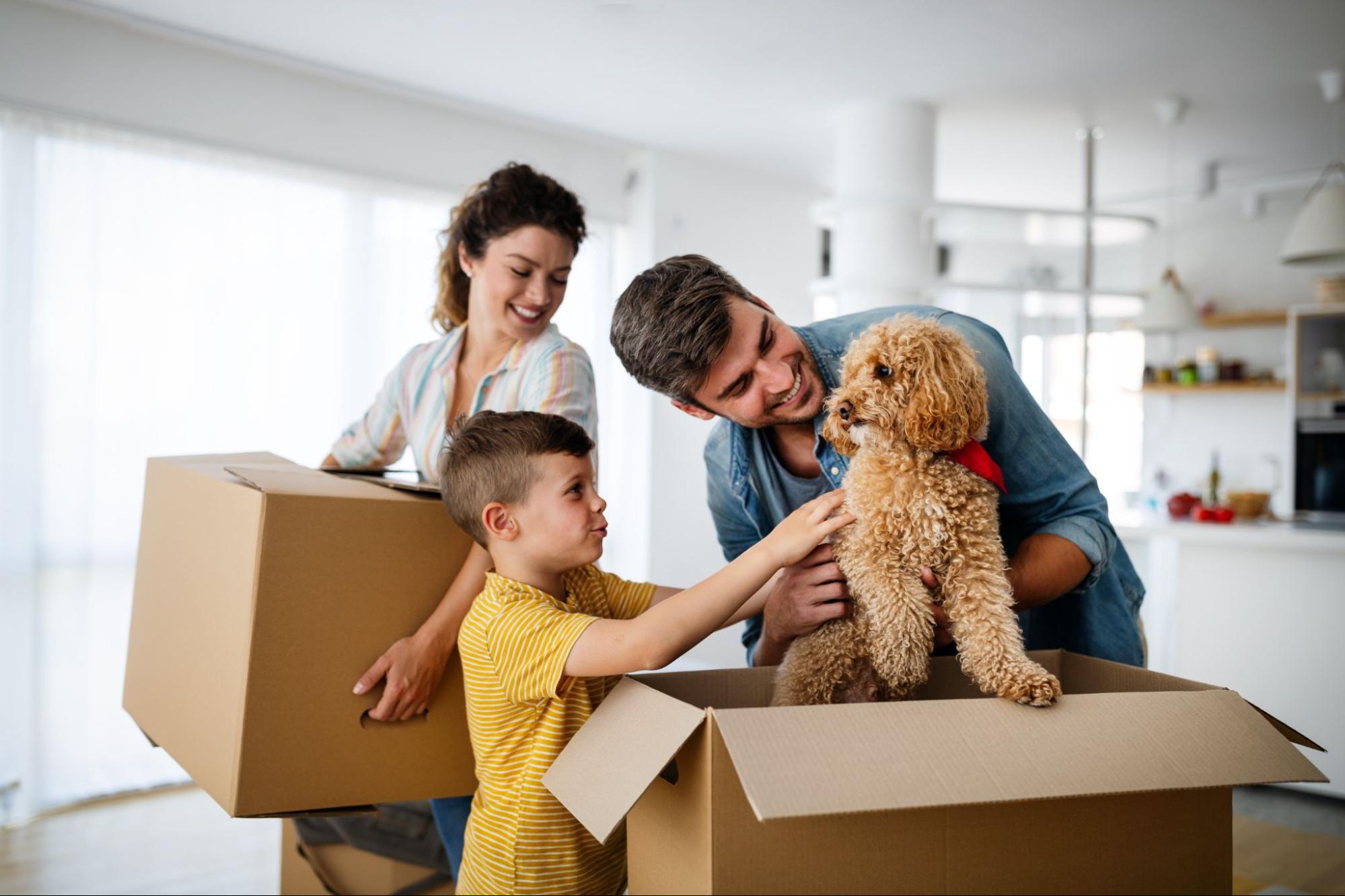 Una familia y su perro desempaquetando las cajas de la mudanza